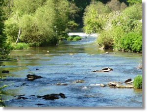 Looking towards Mill Street weir, Ludlow.